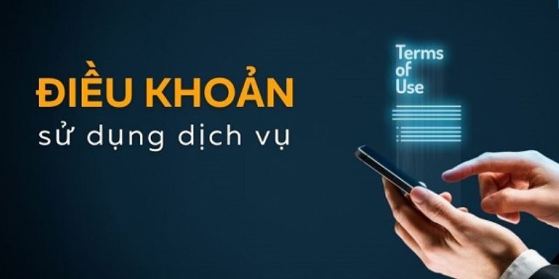 Những thắc mắc liên quan đến điều khoản và điều kiện